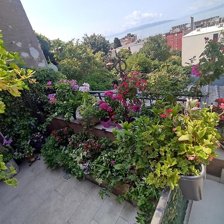 דירות Apartman Bella Vista רייקה מראה חיצוני תמונה