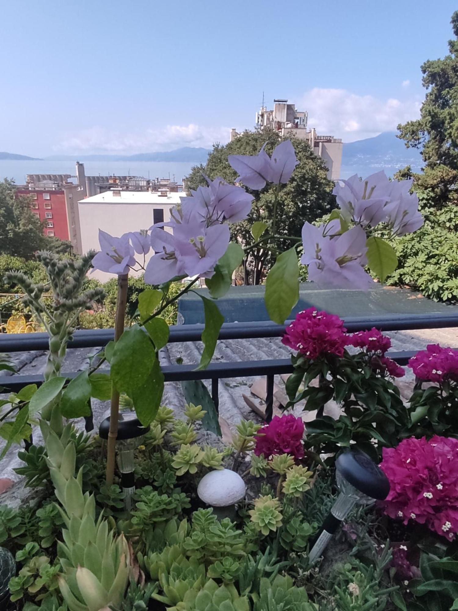 דירות Apartman Bella Vista רייקה מראה חיצוני תמונה